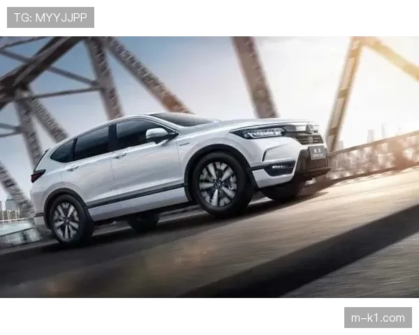 评论：索契站的安全车时机——是运气使然，还是卓越的赛道位置感知？